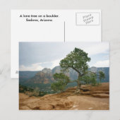 Sedona-boom Briefkaart (Voorkant / Achterkant)