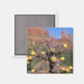 Sedona Cactus Desert Magnet (Voorkant / Achterkant)