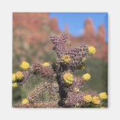 Sedona Cactus Desert Magnet (Voorkant)