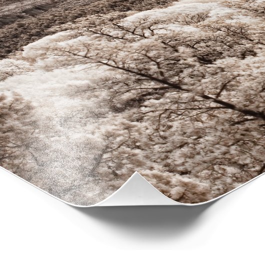 Sedona Foto Afdruk (Hoek)