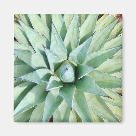 Sedona Green Agave Plant Magnet