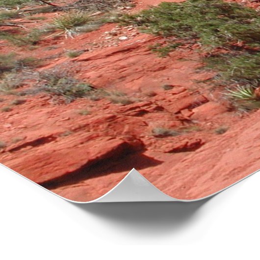 Sedona Poster (Hoek)