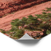 Sedona Poster (Hoek)