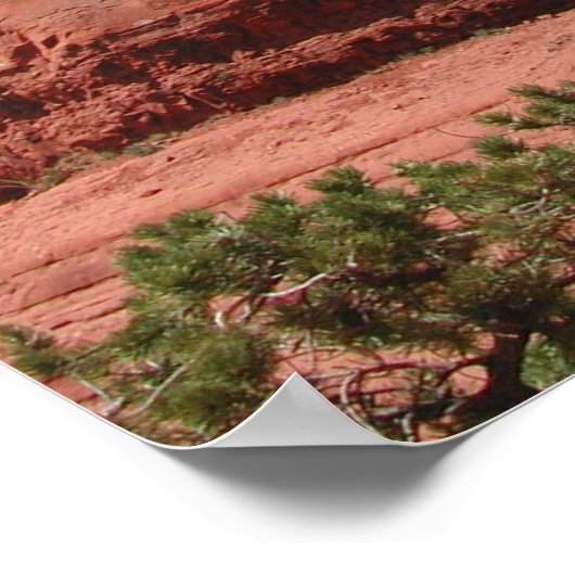 Sedona Poster (Hoek)