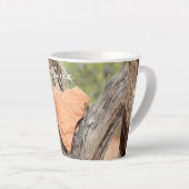 Sedona red rock hart Thunder_Cove Latte Mok (Rechterhoek)