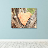 Sedona Red Rock Heart Ingewikkeld Canvas Afdruk (Insitu (Houten vloer))