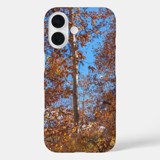 SEDONA SEASONON Oak Creek Canyon Case-Mate iPhone Case (Achterkant)
