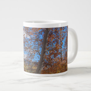 SEDONA SEIZOEN Oak Creek Canyon Grote Koffiekop