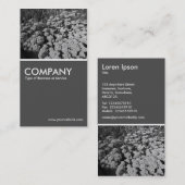 Sedum Autumn Joy (B&W) - 70-pc grijs Visitekaartje (Voorkant / Achterkant)