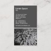 Sedum Autumn Joy (B&W) - 70-pc grijs Visitekaartje (Achterkant)