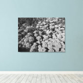 Sedum Autumn Joy (B&W) Canvas Afdruk (Insitu (Houten vloer))