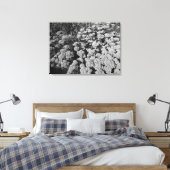 Sedum Autumn Joy (B&W) Canvas Afdruk (Insitu (Slaapkamer))