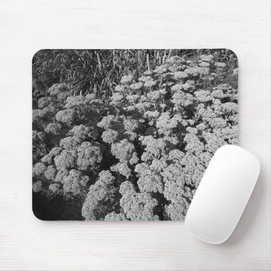 Sedum Autumn Joy (B&W) Muismat (Met muis)