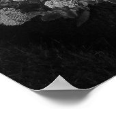 Sedum Autumn Joy (B&W) Poster (Hoek)