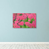 Sedum Autumn Joy Canvas Afdruk (Insitu (Houten vloer))