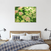 Sedum Autumn Joy Canvas Afdruk (Insitu (Slaapkamer))