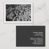 Sedum "Autumn Joy" (Grenzen) Visitekaartje (Voorkant / Achterkant)