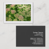 Sedum "Autumn Joy" (Grenzen) Visitekaartje (Voorkant / Achterkant)