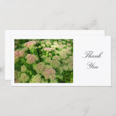 Sedum "Autumn Joy" - Hartelijk dank Bedankkaart (Voorkant / Achterkant)
