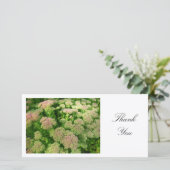 Sedum "Autumn Joy" - Hartelijk dank Bedankkaart (Staand voorkant)