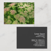 Sedum "Autumn Joy" Visitekaartje (Voorkant / Achterkant)