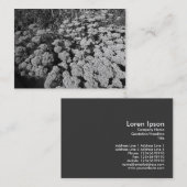 Sedum "Autumn Joy" Visitekaartje (Voorkant / Achterkant)