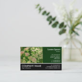 Sedum "Autumn Joy" Visitekaartje (Staand voorkant)