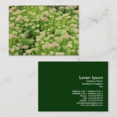 Sedum (herfst Joy) Visitekaartje (Voorkant / Achterkant)