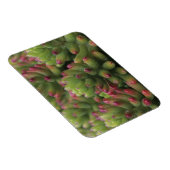 Sedum plant, Arizona-Sonora Desert Museum Magneet (Rechterzijde)