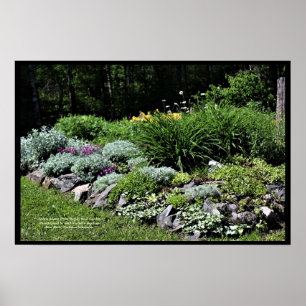 Sedum Silvers Pinks Rock Garden Poster