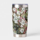 Sedum Spathulifolium Stonecrop Botanical Geïsoleerde Drinkbeker (Achterkant)