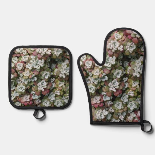 Sedum Spathulifolium Stonecrop Botanical Ovenwant & Pannenlap Set (Voorkant)