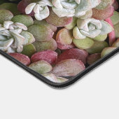 Sedum Spathulifolium Stonecrop Floral Bureaumat (Hoek)