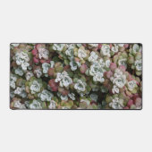 Sedum Spathulifolium Stonecrop Floral Bureaumat (Voorkant)