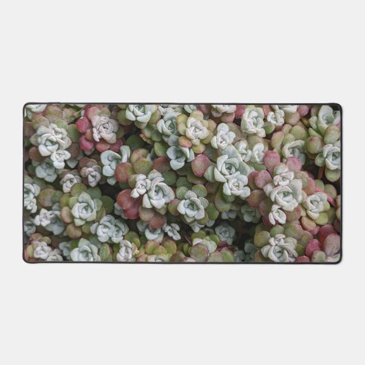 Sedum Spathulifolium Stonecrop Floral Bureaumat (Voorkant)