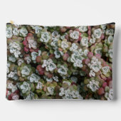 Sedum Spathulifolium Stonecrop Floral Etui (Voorkant)