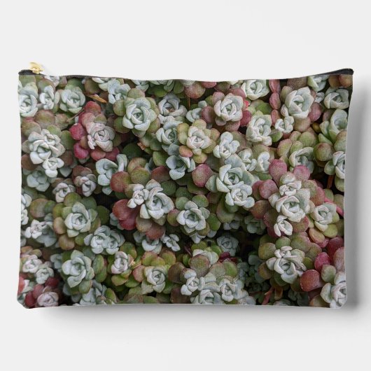 Sedum Spathulifolium Stonecrop Floral Etui (Voorkant)