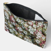 Sedum Spathulifolium Stonecrop Floral Etui (Open)