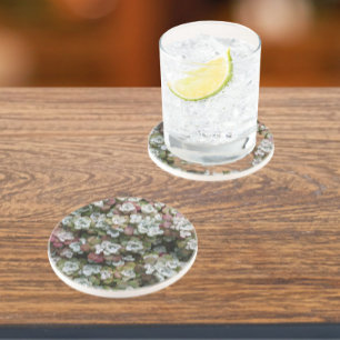 Sedum Spathulifolium Succulent Planten Floral Zandsteen Onderzetter