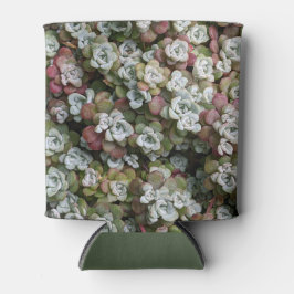 Sedum Spathulifolium Succulenten Bloemstuk Blikjeskoeler