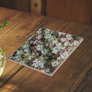 Sedum Spathulifolium Succulenten Bloemstuk Tegeltje