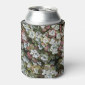 Sedum spathulifolium Succulents Floral Blikjeskoeler (Blikje Voorkant)