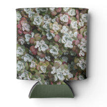 Sedum spathulifolium Succulents Floral