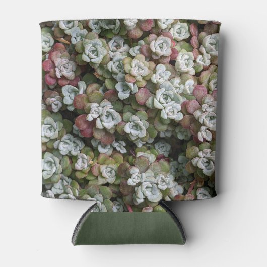 Sedum spathulifolium Succulents Floral Blikjeskoeler (Voorkant)