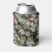 Sedum spathulifolium Succulents Floral Blikjeskoeler (Blikje Achterkant)