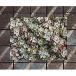 Sedum spathulifolium Succulents Floral Deurmat