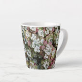 Sedum spathulifolium Succulents Floral Latte Mok (Rechterhoek)