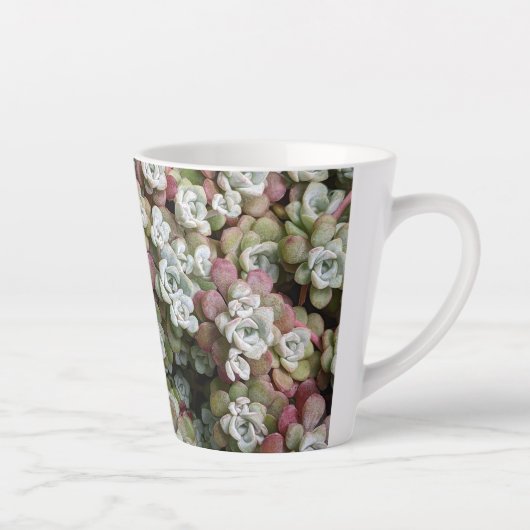 Sedum spathulifolium Succulents Floral Latte Mok (Rechts)