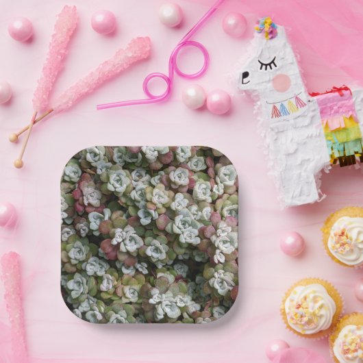 Sedum spathulifolium Succulents Floral Papieren Bordje (Feest)