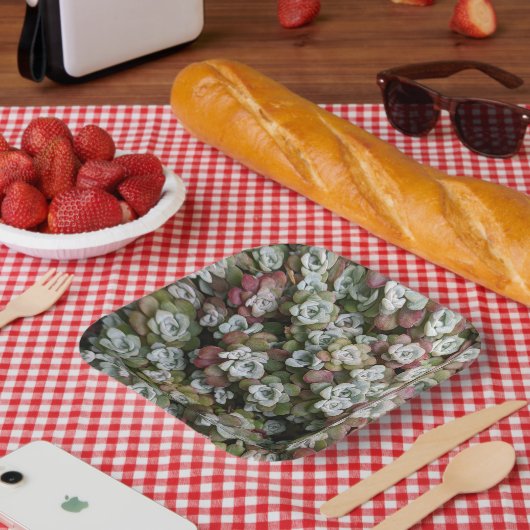 Sedum spathulifolium Succulents Floral Papieren Bordje (Picknick)